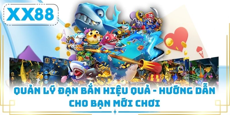 Quản Lý Đạn Bắn Hiệu Quả - Hướng Dẫn Cho Bạn Mới Chơi