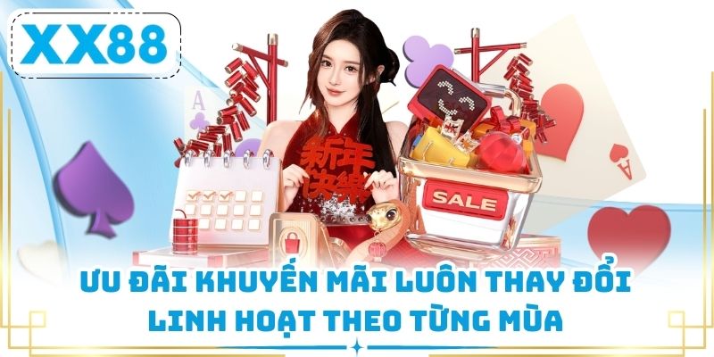 Ưu đãi khuyến mãi luôn thay đổi linh hoạt theo từng mùa